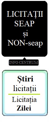 licitatii infocentrum
